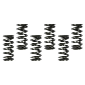 Muelles de Embrague HONDA CRF450R 13-20, CRF450RX 17-20, CRF450X/L/RL 19-25 6PCS