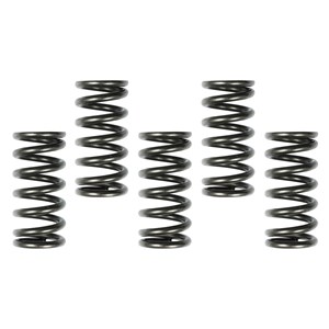 Muelles de Embrague HONDA CRF250R(10-18) 5 unidades