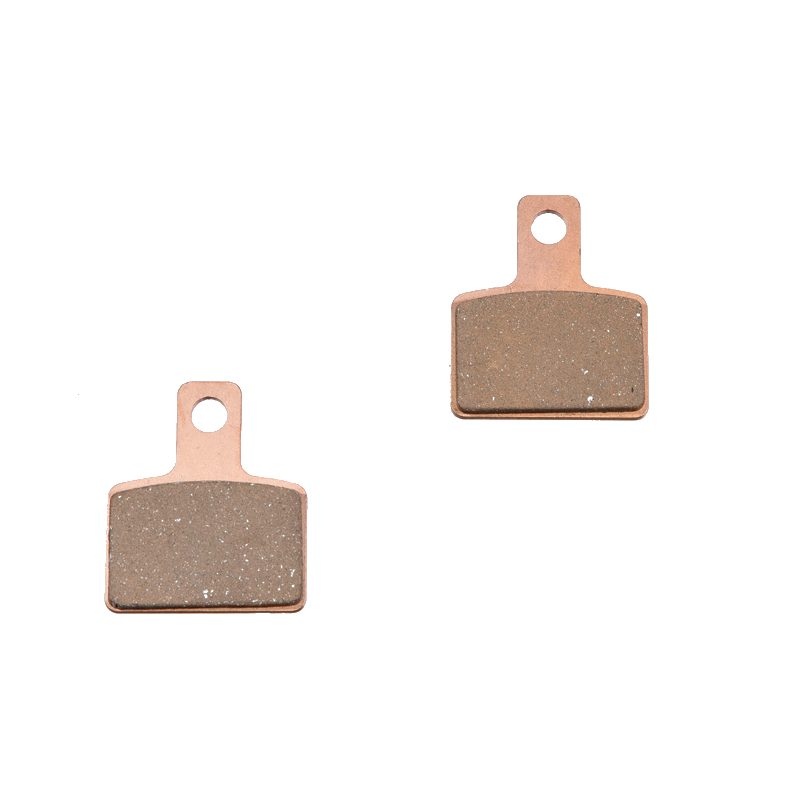 Rear brake pads Beta Evo 2T/4T (09-22)